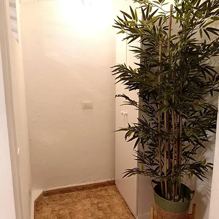 Apartment Bellavista Basement